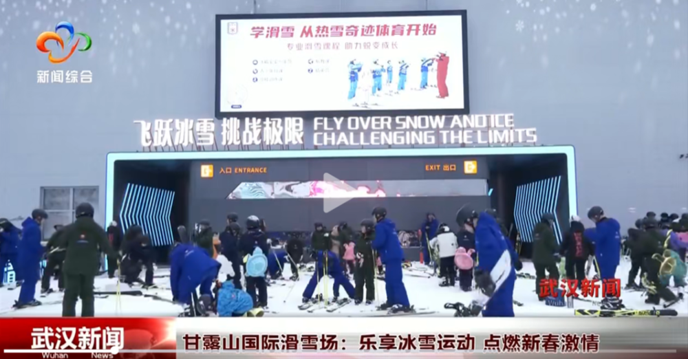 费南多缺席