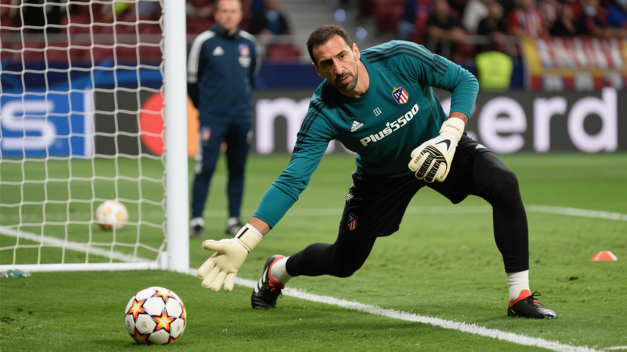 pp和央视 pp和央视